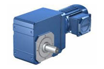 Asynchronous Helical Bevel Geared Motors